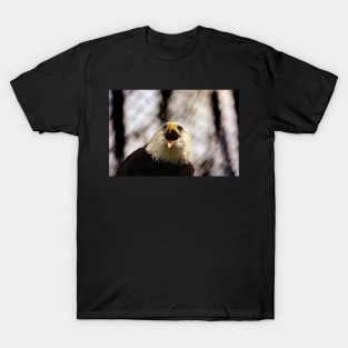 American Patriotic Eagle T-Shirt